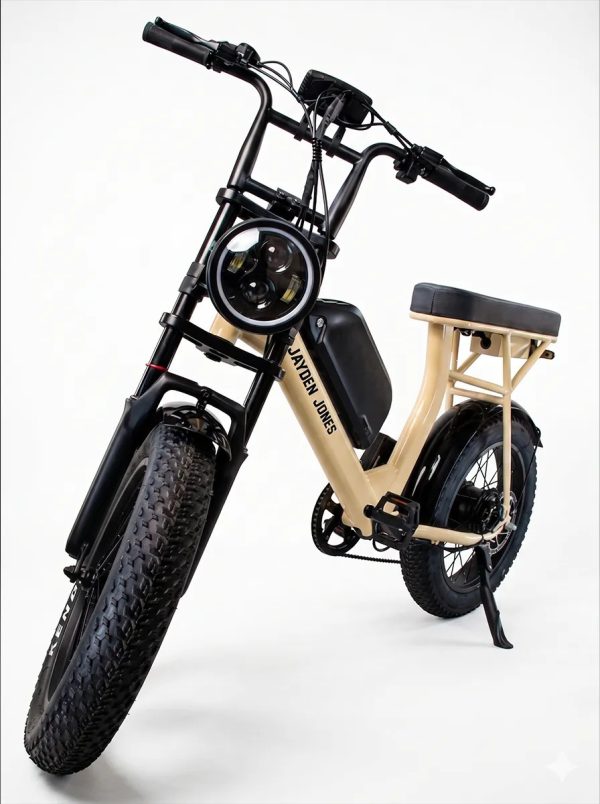 Bicicleta Electrica 750w48v 15.6ah Sunset Ebike