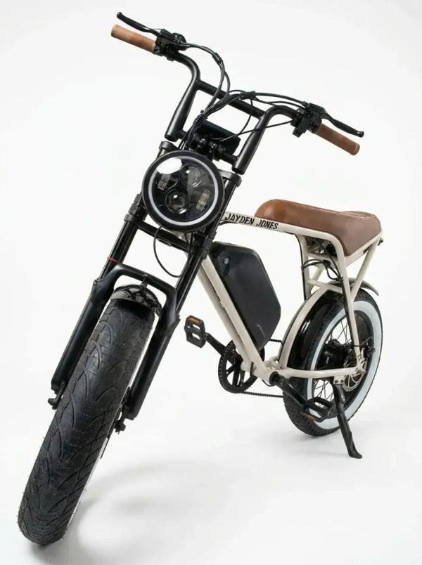 Bicicleta Electrica 750w48v 15.6ah Santa Monica Ebike